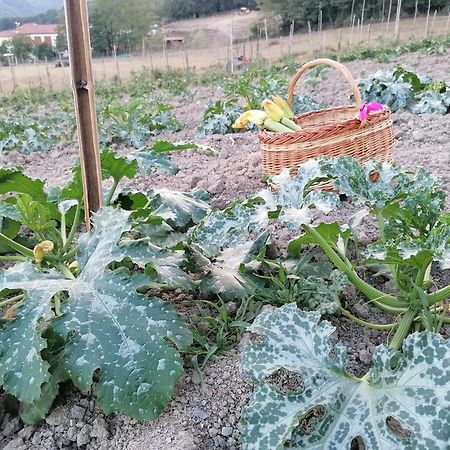 فيلا San Pietro Varaفي Agriturismo Dei Legi المظهر الخارجي الصورة