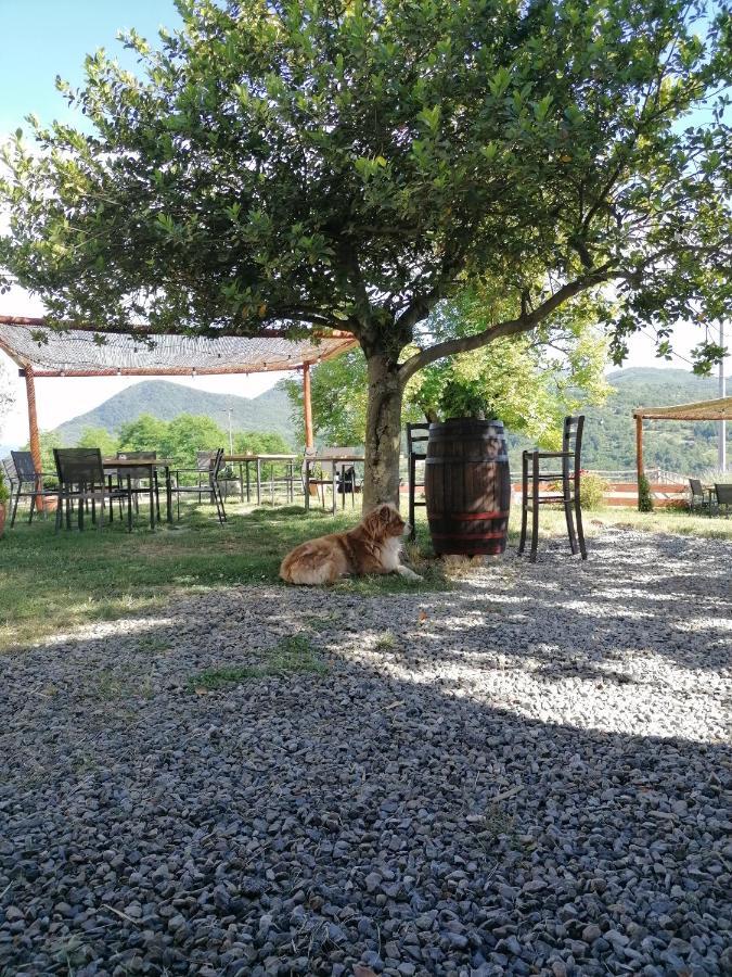 Agriturismo Dei Legi San Pietro Vara المظهر الخارجي الصورة