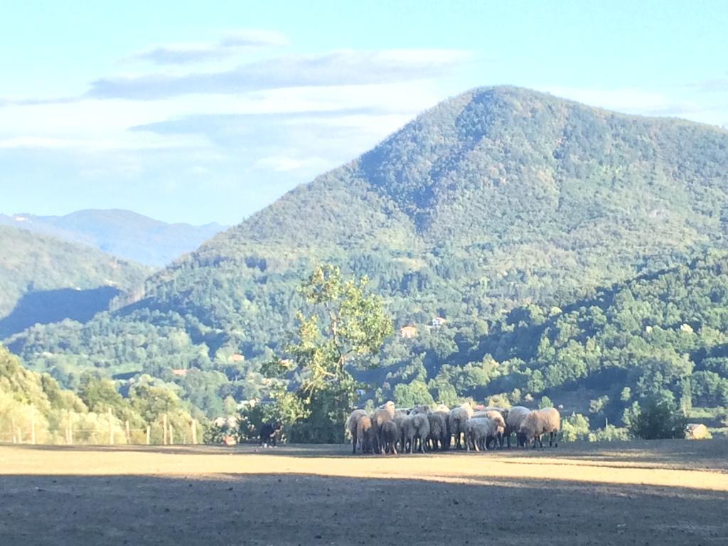 فيلا San Pietro Varaفي Agriturismo Dei Legi المظهر الخارجي الصورة