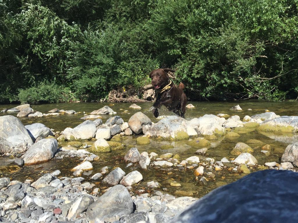 Agriturismo Dei Legi San Pietro Vara المظهر الخارجي الصورة