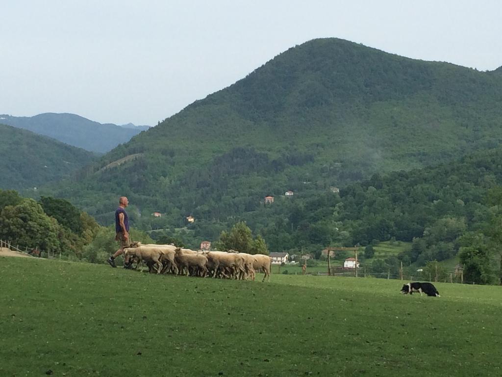 فيلا San Pietro Varaفي Agriturismo Dei Legi المظهر الخارجي الصورة