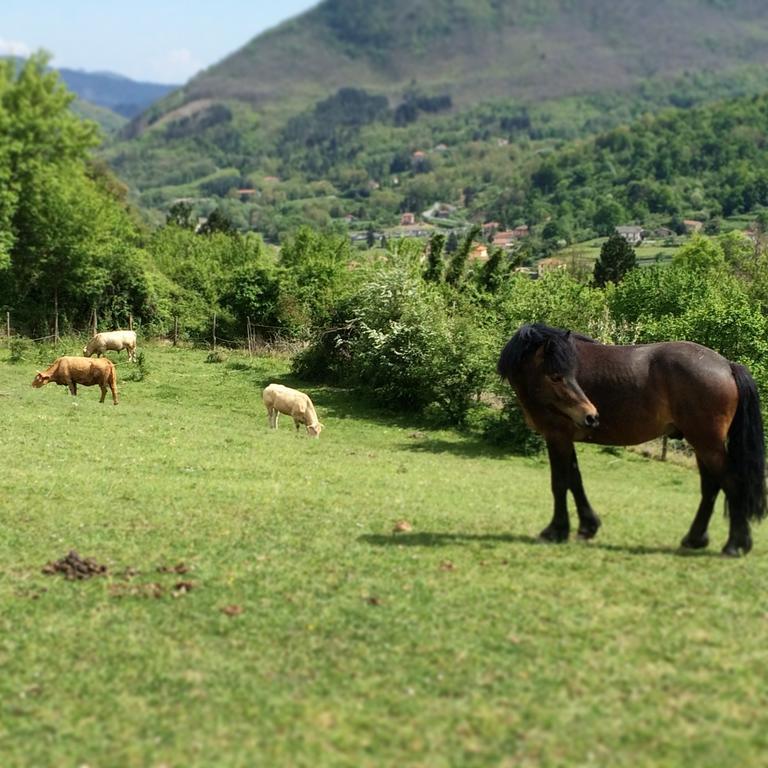 فيلا San Pietro Varaفي Agriturismo Dei Legi المظهر الخارجي الصورة