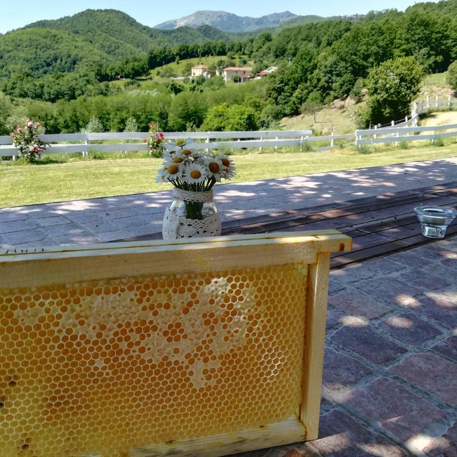 Agriturismo Dei Legi San Pietro Vara المظهر الخارجي الصورة