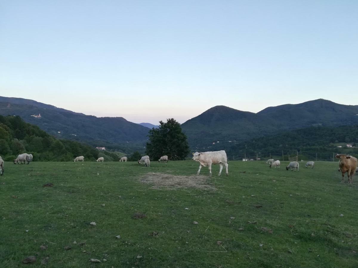 فيلا San Pietro Varaفي Agriturismo Dei Legi المظهر الخارجي الصورة