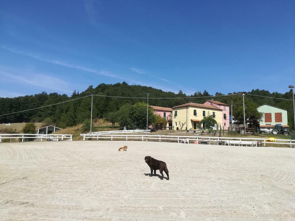 فيلا San Pietro Varaفي Agriturismo Dei Legi المظهر الخارجي الصورة